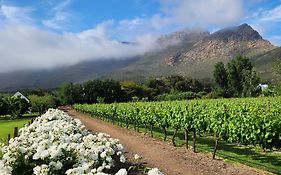 Klein Nektar Wine & Olive Estate